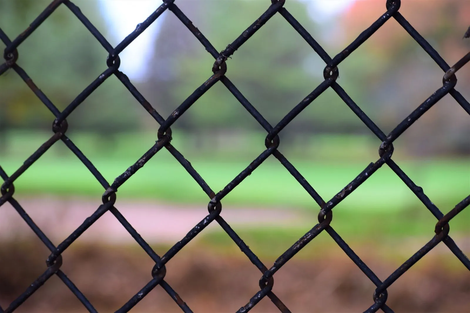 Black-coated chain-link mesh with a softly blurred natural background
